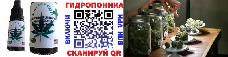 Canna-Cookies конопля Изобильный