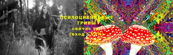 каннабис Арсеньев