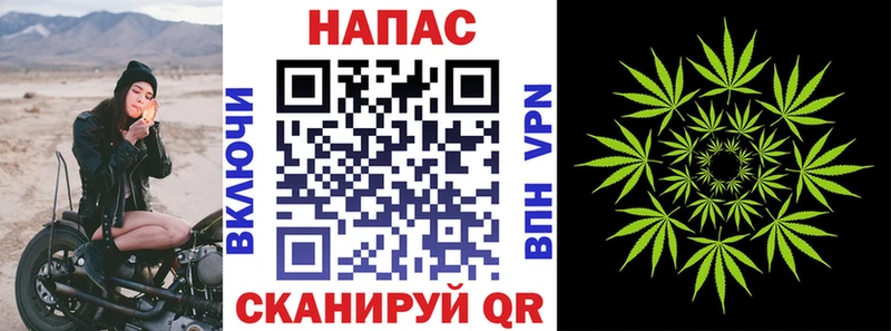 купить наркотик  Изобильный  Канабис Amnesia 